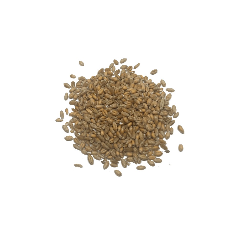 Trigo en grano Eco (10gr)