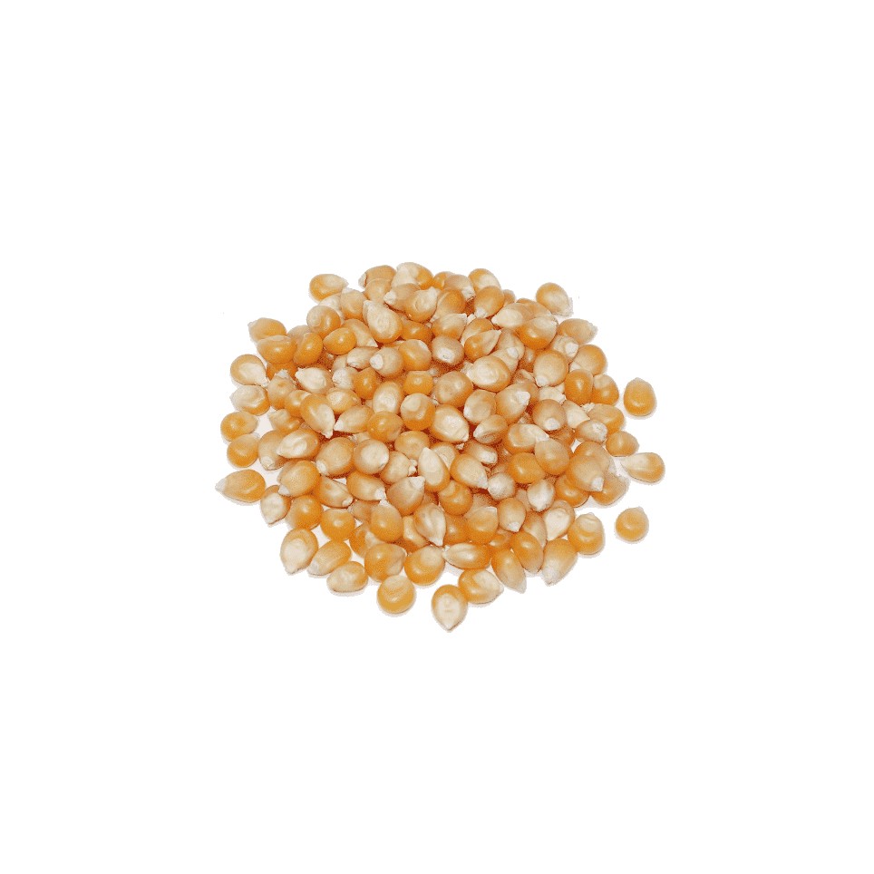 Maiz para Palomitas - 100gr