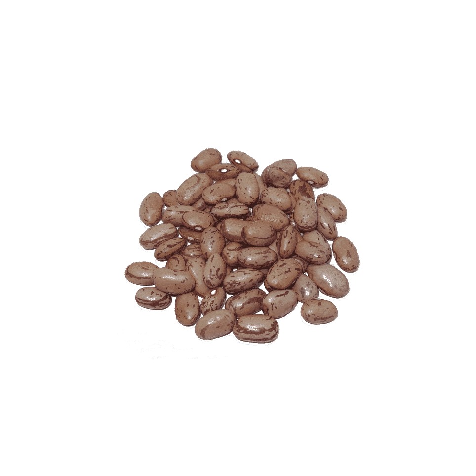 Alubia Pinta especial (LEÓN)