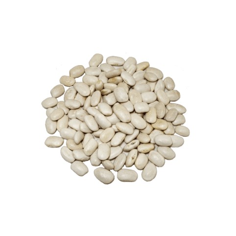 Alubia Riñon de La Bañeza (LEÓN)