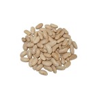 Alubia Canela  (LEÓN)