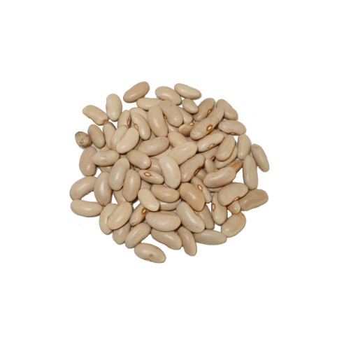 Alubia Canela  (LEÓN)