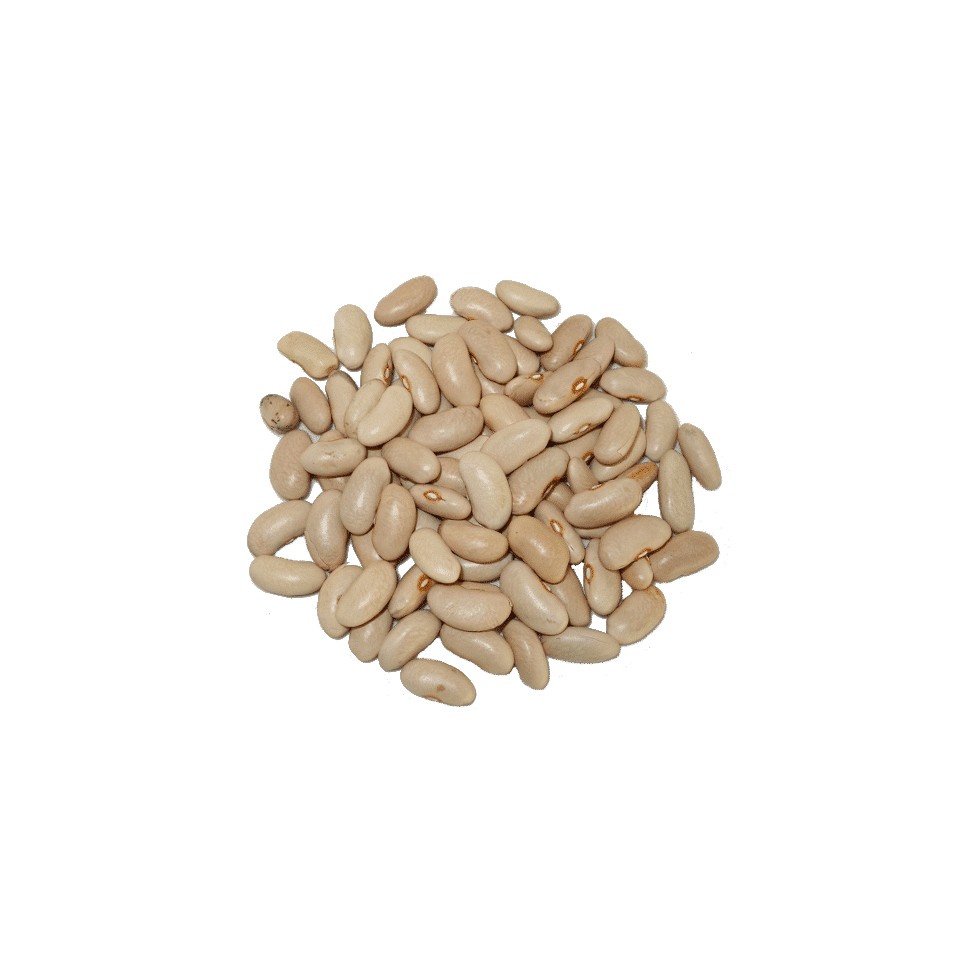 Alubia Canela  (LEÓN)