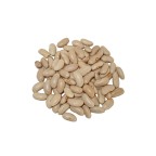 Alubia Canela  (LEÓN)