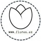 Paquete de Flores Frescas