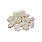 Alubia Garrofón (LEÓN)